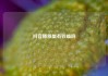 抖音播放量有收益吗