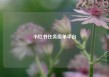 小红书任务接单平台
