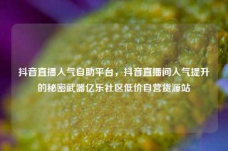 抖音直播人气自助平台，抖音直播间人气提升的秘密武器亿乐社区低价自营货源站