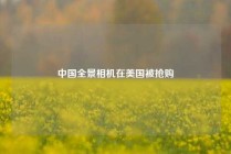中国全景相机在美国被抢购 
