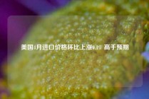 美国4月进口价格环比上涨0.1% 高于预期
