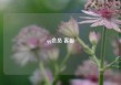 qq会员 客服