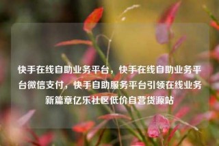 快手在线自助业务平台，快手在线自助业务平台微信支付，快手自助服务平台引领在线业务新篇章亿乐社区低价自营货源站