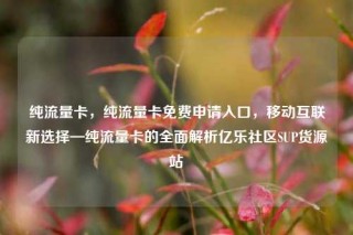 纯流量卡，纯流量卡免费申请入口，移动互联新选择—纯流量卡的全面解析亿乐社区SUP货源站