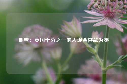 调查：英国十分之一的人现金存款为零  第1张