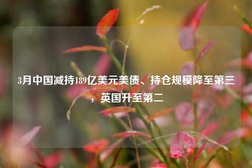 3月中国减持189亿美元美债、持仓规模降至第三，英国升至第二  第1张