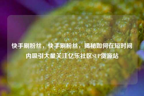 快手刷粉丝	，快手刷粉丝，揭秘如何在短时间内吸引大量关注亿乐社区SUP货源站  第1张