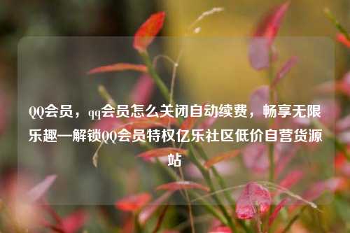 QQ会员，qq会员怎么关闭自动续费，畅享无限乐趣—解锁QQ会员特权亿乐社区低价自营货源站  第1张