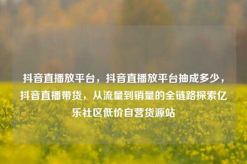 抖音直播放平台，抖音直播放平台抽成多少	，抖音直播带货，从流量到销量的全链路探索亿乐社区低价自营货源站  第1张