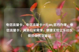 电信流量卡，电信流量卡19元200g官方办理，电信流量卡，满足日常需求，便捷无忧亿乐社区低价自营货源站