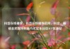 抖音在线播放，抖音在线播放官网，抖音，解锁全民娱乐的新方式亿乐社区SUP货源站