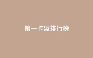 第一卡盟排行榜,粉丝ks - 抖音业务卡盟网站最低价 - 网红商城24小时下单平台