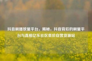 抖音刷播放量平台，揭秘，抖音背后的刷量平台与真相亿乐社区低价自营货源站