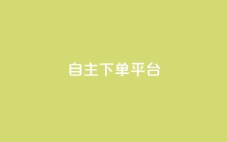自主下单平台-网红助手,qq24小时自助下单全网最低价 - 点赞助手app下载 - 巨量千川新手投放教程