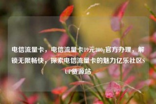电信流量卡，电信流量卡19元200g官方办理，解锁无限畅快，探索电信流量卡的魅力亿乐社区SUP货源站