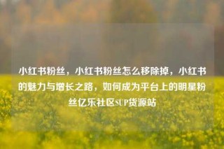 小红书粉丝，小红书粉丝怎么移除掉，小红书的魅力与增长之路，如何成为平台上的明星粉丝亿乐社区SUP货源站