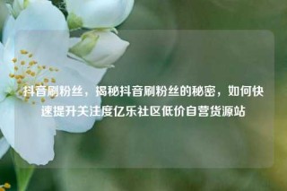 抖音刷粉丝，揭秘抖音刷粉丝的秘密，如何快速提升关注度亿乐社区低价自营货源站