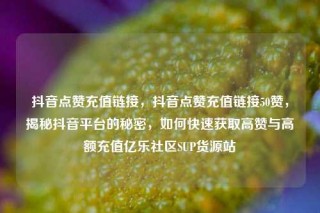 抖音点赞充值链接，抖音点赞充值链接50赞，揭秘抖音平台的秘密，如何快速获取高赞与高额充值亿乐社区SUP货源站