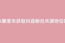 抖音粉丝从哪里来获取 - 抖音粉丝来源地在哪里！