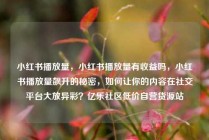 小红书播放量，小红书播放量有收益吗，小红书播放量飙升的秘密，如何让你的内容在社交平台大放异彩？亿乐社区低价自营货源站