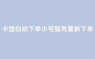 卡盟自助下单小号服务重新下单
