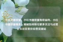 小红书播放量，小红书播放量有收益吗，小红书播放量爆表！揭秘如何吸引更多关注与点赞亿乐社区低价自营货源站