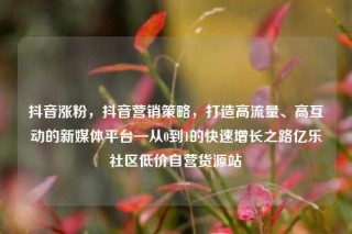 抖音涨粉，抖音营销策略，打造高流量、高互动的新媒体平台—从0到1的快速增长之路亿乐社区低价自营货源站
