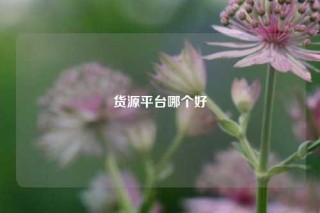 货源平台哪个好
