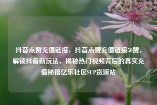 抖音点赞充值链接，抖音点赞充值链接50赞，解锁抖音新玩法，揭秘热门视频背后的真实充值秘籍亿乐社区SUP货源站