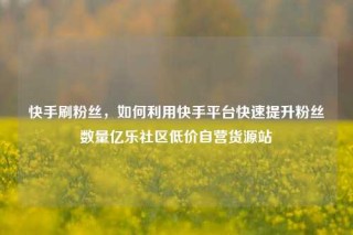 快手刷粉丝，如何利用快手平台快速提升粉丝数量亿乐社区低价自营货源站