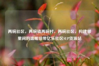两碗社区，两碗镇两碗村，两碗社区，构建邻里间的温暖纽带亿乐社区SUP货源站