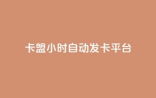卡盟24小时自动发卡平台 - 24小时自动发卡平台-卡盟快速发卡!
