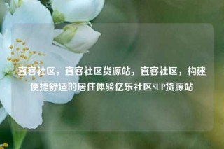 直客社区，直客社区货源站，直客社区，构建便捷舒适的居住体验亿乐社区SUP货源站