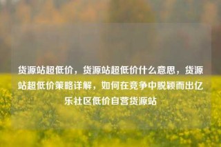 货源站超低价，货源站超低价什么意思，货源站超低价策略详解，如何在竞争中脱颖而出亿乐社区低价自营货源站