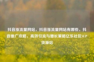 抖音涨流量网站，抖音涨流量网站有哪些，抖音推广攻略，高效引流与增长策略亿乐社区SUP货源站