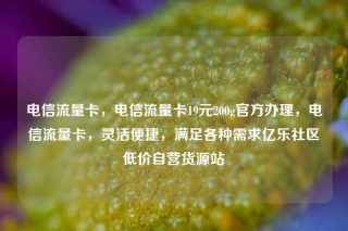 电信流量卡，电信流量卡19元200g官方办理，电信流量卡，灵活便捷，满足各种需求亿乐社区低价自营货源站