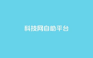nap6科技网自助平台,抖音点赞秒到账 - ks业务下单 - 168卡盟网