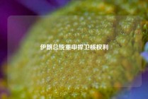 伊朗总统重申捍卫核权利