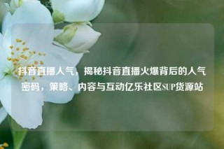 抖音直播人气，揭秘抖音直播火爆背后的人气密码，策略、内容与互动亿乐社区SUP货源站