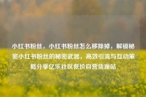 小红书粉丝，小红书粉丝怎么移除掉，解锁秘密小红书粉丝的秘密武器，高效引流与互动策略分享亿乐社区低价自营货源站