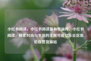 小红书阅读，小红书阅读量有收益吗，小红书阅读，探索时尚与生活的无限可能亿乐社区低价自营货源站