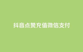 抖音点赞充值微信支付,刷qq好友网站 - 最便宜的货源批发网站 - qq会员自助下单商城