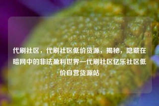 代刷社区，代刷社区低价货源，揭秘，隐藏在暗网中的非法盈利世界—代刷社区亿乐社区低价自营货源站