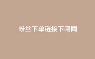 粉丝下单链接