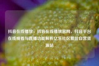 抖音在线播放，抖音在线播放官网，抖音平台在线观看与直播功能解析亿乐社区低价自营货源站