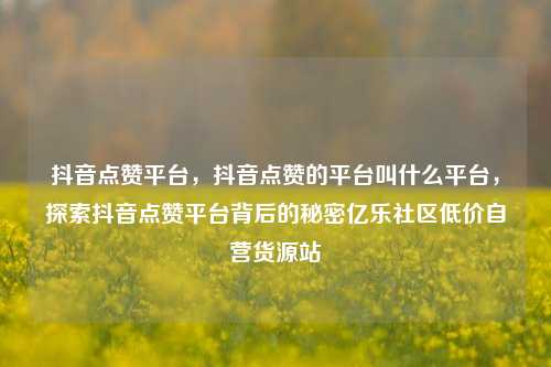 抖音点赞平台	，抖音点赞的平台叫什么平台，探索抖音点赞平台背后的秘密亿乐社区低价自营货源站  第1张