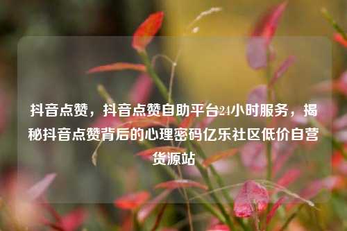 抖音点赞，抖音点赞自助平台24小时服务，揭秘抖音点赞背后的心理密码亿乐社区低价自营货源站  第1张