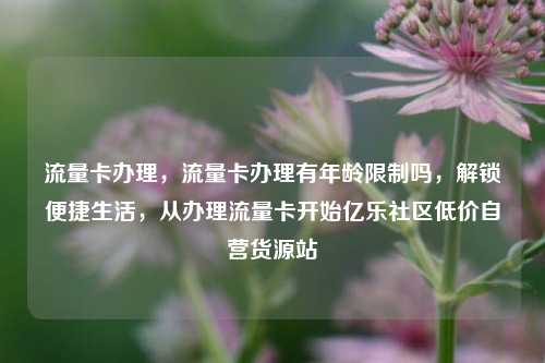 流量卡办理，流量卡办理有年龄限制吗，解锁便捷生活	，从办理流量卡开始亿乐社区低价自营货源站  第1张