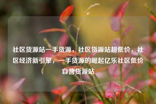 社区货源站一手货源，社区货源站超低价，社区经济新引擎，一手货源的崛起亿乐社区低价自营货源站  第1张