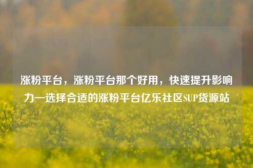 涨粉平台，涨粉平台那个好用	，快速提升影响力—选择合适的涨粉平台亿乐社区SUP货源站  第1张